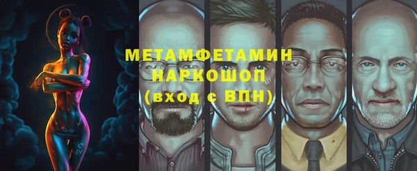 ГАЛЛЮЦИНОГЕННЫЕ ГРИБЫ Дмитриев