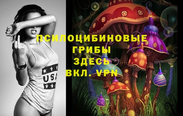 ГАЛЛЮЦИНОГЕННЫЕ ГРИБЫ Дмитриев