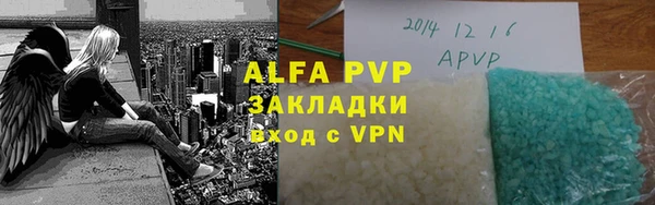 ГАЛЛЮЦИНОГЕННЫЕ ГРИБЫ Дмитриев