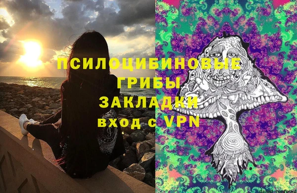 ГАЛЛЮЦИНОГЕННЫЕ ГРИБЫ Дмитриев