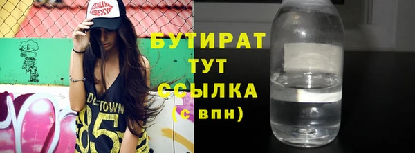 ГАЛЛЮЦИНОГЕННЫЕ ГРИБЫ Дмитриев