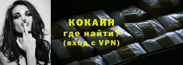 ГАЛЛЮЦИНОГЕННЫЕ ГРИБЫ Дмитриев