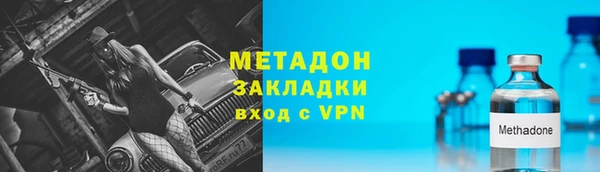ГАЛЛЮЦИНОГЕННЫЕ ГРИБЫ Дмитриев