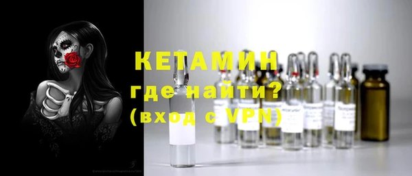 ГАЛЛЮЦИНОГЕННЫЕ ГРИБЫ Дмитриев