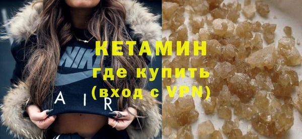 ГАЛЛЮЦИНОГЕННЫЕ ГРИБЫ Дмитриев