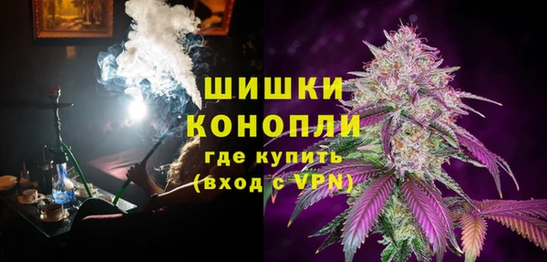 ГАЛЛЮЦИНОГЕННЫЕ ГРИБЫ Дмитриев