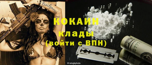 мяу мяу мука Дмитров