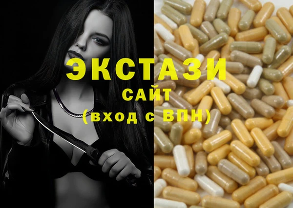 ГАЛЛЮЦИНОГЕННЫЕ ГРИБЫ Дмитриев