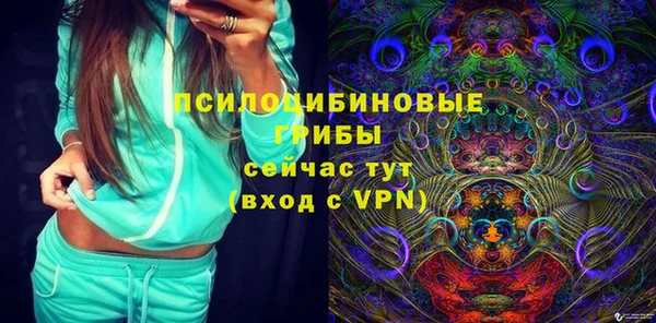 ГАЛЛЮЦИНОГЕННЫЕ ГРИБЫ Дмитриев