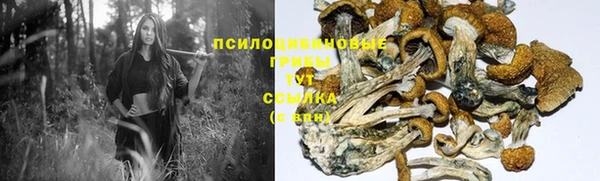 мяу мяу мука Дмитров
