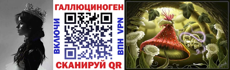 Псилоцибиновые грибы GOLDEN TEACHER  Купить  Рошаль 