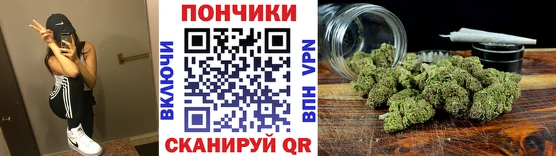 Купить закладки  Рошаль  Каннабис конопля 